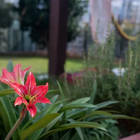 4:20 Oda ve Kahvaltı Ceriale